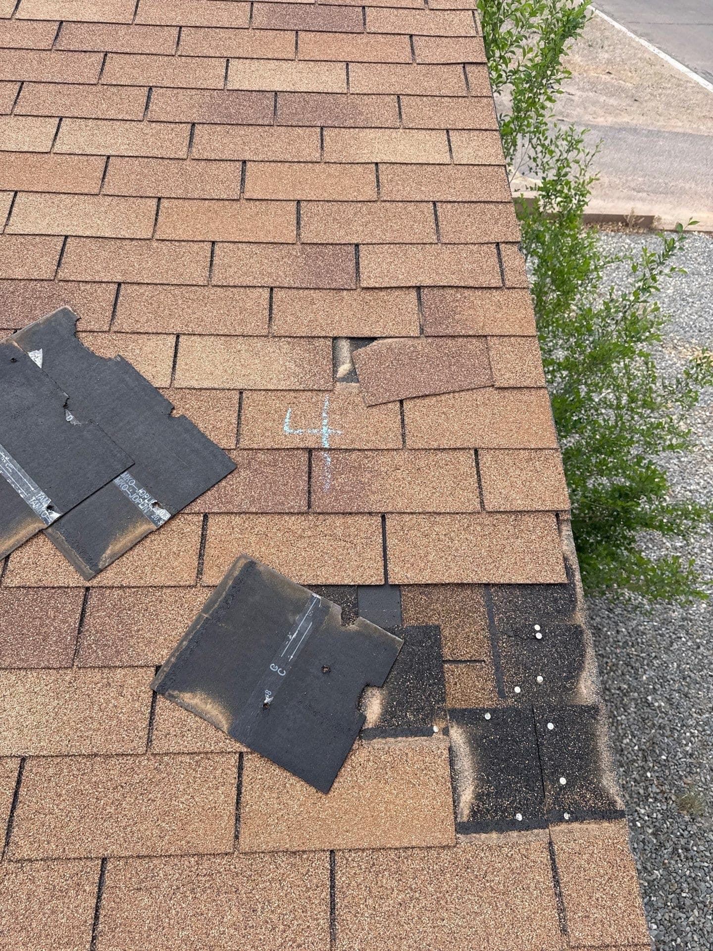 Lifted and creased asphalt shingles on a roof after high wind