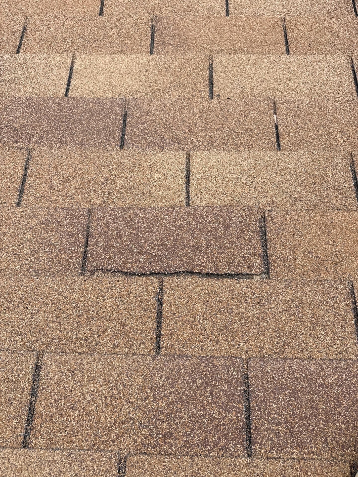 Photo from your Paramount Care visit